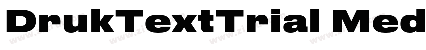 DrukTextTrial Medium字体转换